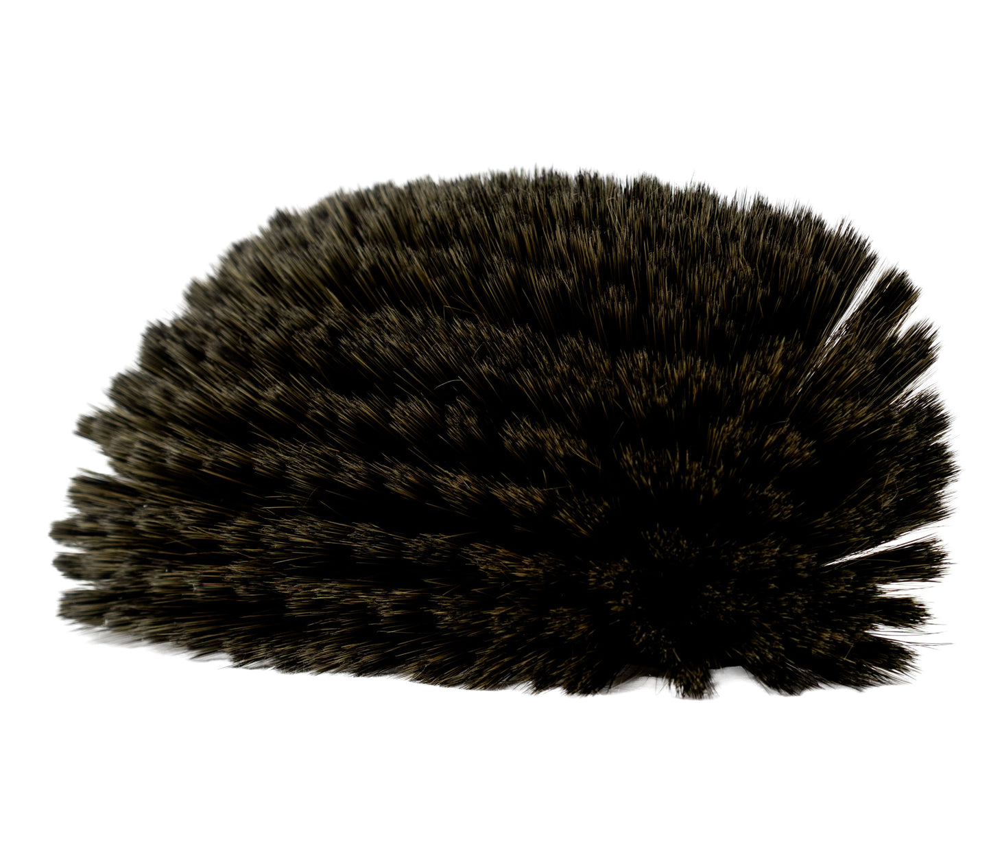 Noghair Soft Bristle Brush Head | Premium Multi-Surface Detailing Brush